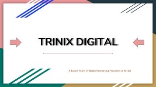 Best Team Of Digital Marketing Providers in Kerala