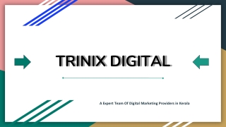 Expert Digital Marketing Company Kerala - TRINIX DIGITAL