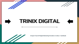Best Digital Marketing Providers in Calicut - Kozhikode