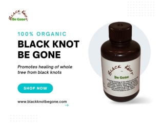 Black Knot Fungus Treatment-Cherry Trees, Apple Trees, Grape Vines