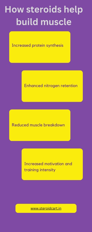 How steroids help build muscle