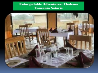 Unforgettable Adventures: Chalema Tanzania Safaris