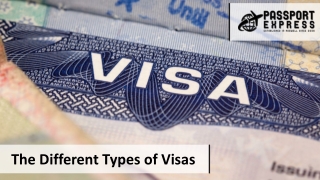 Understanding Different Types of Visas