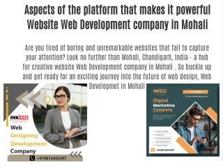 Aspects of the platform that makes it powerful Website Web Development company in Mohali