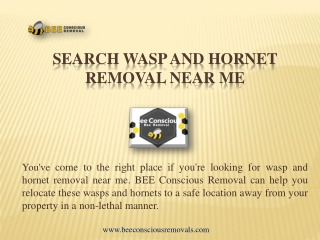 Search Wasp and Hornet Removal near me