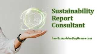 Consultant for Sustainability Reports, Agile Advisors