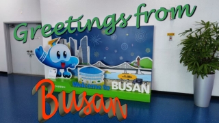 Korea Busan Greetings from Busan