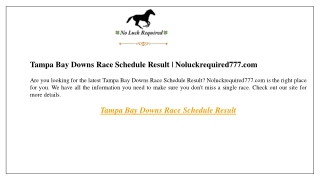 Tampa Bay Downs Race Schedule Result  Noluckrequired777.com