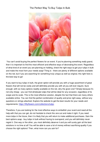 ThePerfectWayToBuyTulipsInBulk