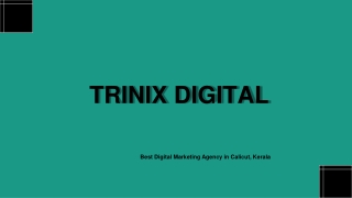 Best Digital Marketing Agency in Calicut - Kerala