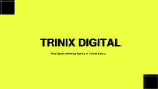 Top Digital Marketing Team in Calicut, Kerala