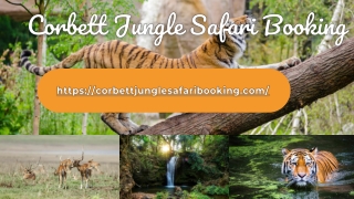 Jim Corbett Safari Zones