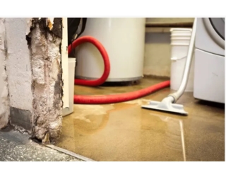 Water Damage Crystal Lake, IL