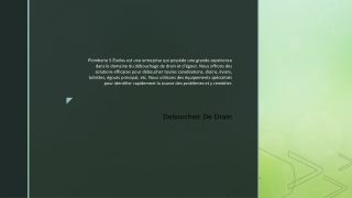 Debouchoir De Drain