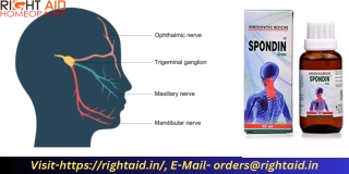 Spondin Drop Homoeopathic Drug  Dr. Bhargava