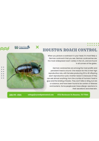 Houston Roach control | Pest Removal Houston