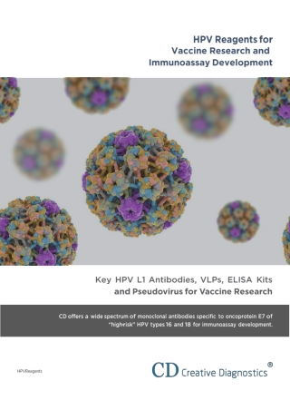 HPV Reagents for Vaccine Research and Immunoassay Development