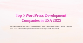 TOP 5 WordPress Development Companies in USA 2023