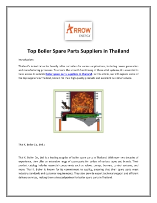 Boiler spare parts suppliers in Thailand | อะไหล่บอยเลอร์ | Boiler spare part