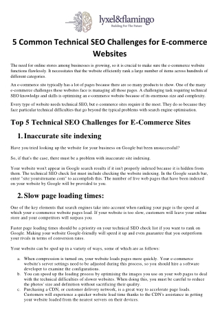 Technical SEO Challenges for E-Commerce Websites- A Guide by Lyxel&Flamingo