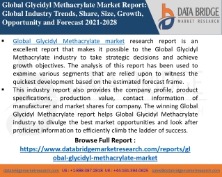 Glycidyl Methacrylate Market-Chemical Material