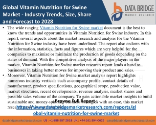 Vitamin Nutrition for Swine Market- Agricultural & Animal feed