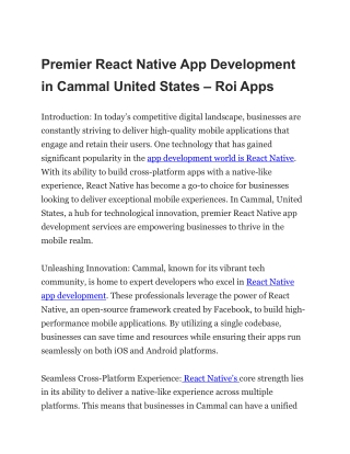 Premier React Native App Development in Cammal United States – Roi Apps