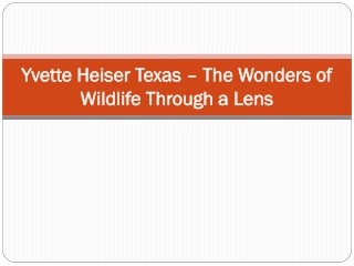 Yvette Heiser Texas – The Wonders of Wildlife Through a Lens