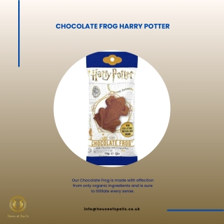 Chocolate Frog Harry Potter