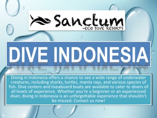 DIVE INDONESIA