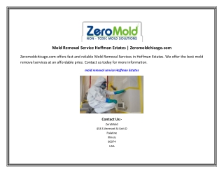 Mold Removal Service Hoffman Estates Zeromoldchicago.com