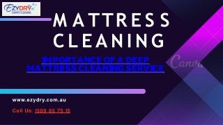 Mattress cleaning - Importance of A deep mattress cleaning service