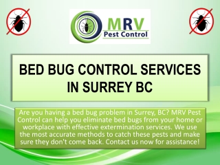 BED BUG CONTROL SERVICES IN SURREY BC