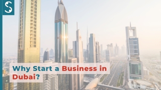 Why Start a Business in Dubai