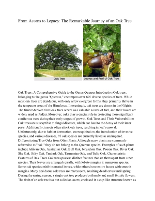 From Acorns to Legacy_ The Remarkable Journey of an Oak Tree