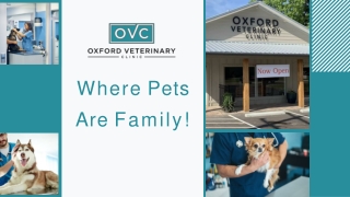 How to Find the Best Vet Clinic