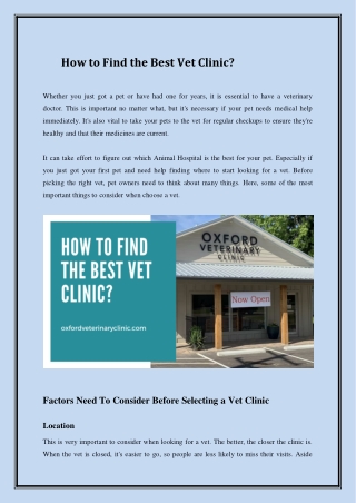 How To Find The Best Vet Clinic