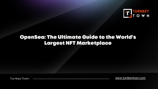 OpenSea The Ultimate Guide to the World's Largest NFT Marketplace