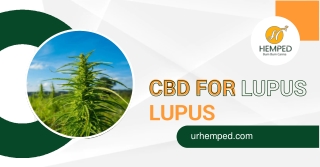 CBD for Lupus: Natural Remedy for Lupus Symptoms | Ur Hemped
