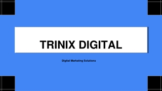Best SEO Service Company in Calicut