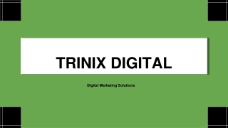 Top SEO Services in Calicut - Kozhikode