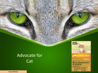 Advocate for Cats | Advocate Cat Flea & Worm Treatment Online