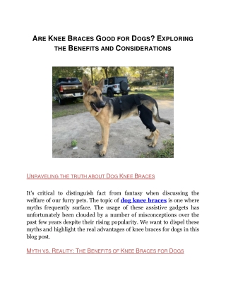 Are Knee Braces Good for Dogs_ Exploring the Benefits and Considerations