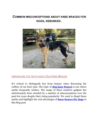 Common misconceptions about knee braces for dogs, debunked