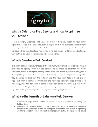 What is Salesforce Field Service and how to optimise your teams - Ignyto