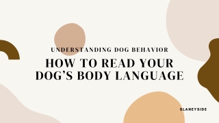 Understanding Dog Behavior How to Read Your Dog’s Body Language
