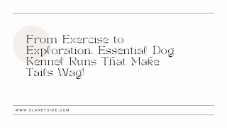 From Exercise to Exploration Essential Dog Kennel Runs That Make Tails Wag! - Slaneyside Kennels