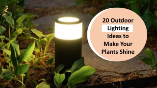 20 Outdoor Lighting Ideas to Make Your Plants Shine