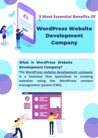 WordPress Website Development Company