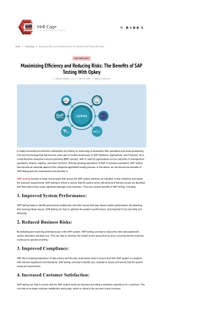 Maximizing Efficiency and Reducing Risks The Benefits of SAP Testing With Opkey